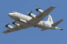 United States Navy Lockheed P-3C Orion (163290) at  Jacksonville - NAS, United States