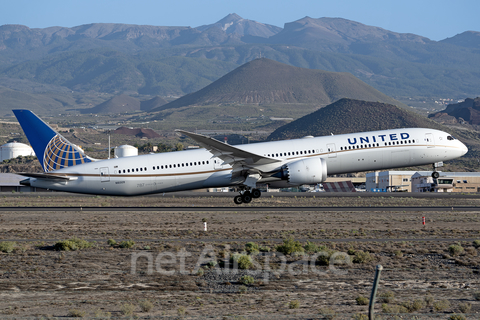 United Airlines Boeing 787-10 Dreamliner (N16009) at  Tenerife Sur - Reina Sofia, Spain
