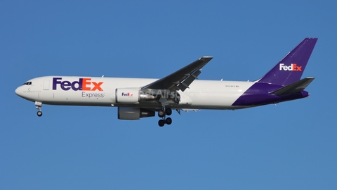 FedEx Boeing 767-3S2F(ER) (N259FE) at  Tampa - International, United States