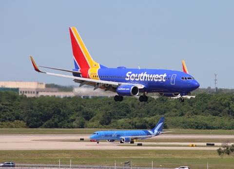 Southwest Airlines Boeing 737-7H4 (N462WN) at  Tampa - International, United States