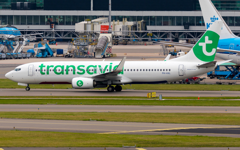 Transavia Boeing 737-8K2 (PH-HXL) at  Amsterdam - Schiphol, Netherlands