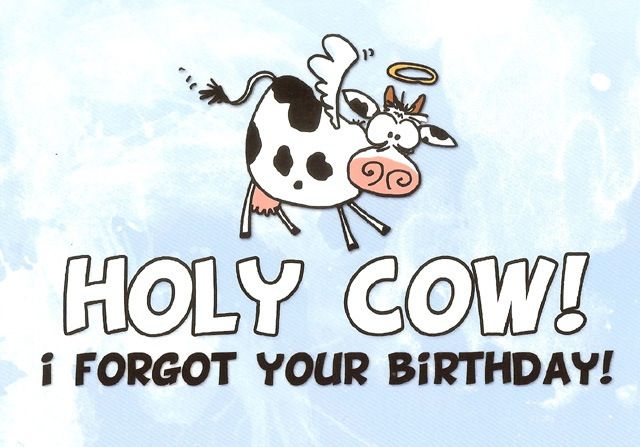 Holy Cow Late Birthday.jpg