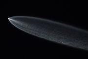 SpaceX SpaceX Falcon 9 (UNMARKED) at  Off-Airport, United States