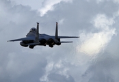 United States Air Force McDonnell Douglas F-15E Strike Eagle (01-2003) at  RAF Fairford, United Kingdom