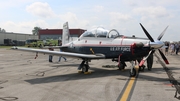 United States Air Force Raytheon T-6A Texan II (01-3600) at  Detroit - Willow Run, United States