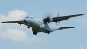 Polish Air Force (Siły Powietrzne) CASA C-295M (015) at  Malbork, Poland