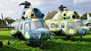 Polish Air Force (Siły Powietrzne) PZL-Swidnik (Mil) Mi-2T Hoplite (0216) at  Krakow Rakowice-Czyzyny (closed) Polish Aviation Museum (open), Poland