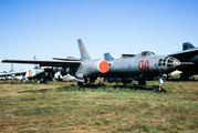 Soviet Union Air Force Ilyushin Il-28 Beagle (04 RED) at  Monino - Central Air Force Museum, Russia