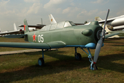 DOSAAF Russia Yakovlev Yak-18U (05 WHITE) at  Monino - Central Air Force Museum, Russia