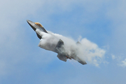 United States Air Force Lockheed Martin / Boeing F-22A Raptor (06-4124) at  Oceana NAS - Apollo Soucek Field, United States