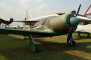 Soviet Union Air Force Yakovlev Yak-11 (06 YELLOW) at  Monino - Central Air Force Museum, Russia