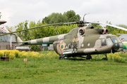 Ukrainian Air Force Mil Mi-8T Hip-C (06 YELLOW) at  Kiev - Igor Sikorsky International Airport (Zhulyany), Ukraine