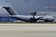 United States Air Force Boeing C-17A Globemaster III (07-7185) at  Cologne/Bonn, Germany