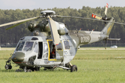 Czech Air Force PZL-Swidnik W-3A Sokol (0709) at  Radom, Poland