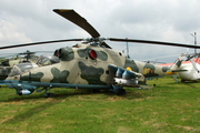 Ukrainian Air Force Mil Mi-24V Hind-E (07 YELLOW) at  Kiev - Igor Sikorsky International Airport (Zhulyany), Ukraine
