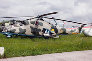 Ukrainian Air Force Mil Mi-24V Hind-E (07 YELLOW) at  Kiev - Igor Sikorsky International Airport (Zhulyany), Ukraine