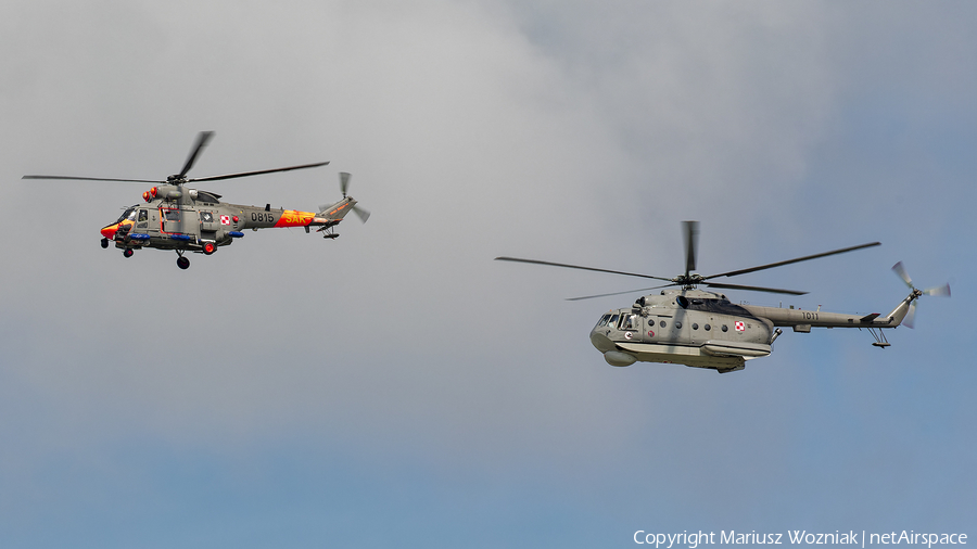 Polish Navy (Marynarka Wojenna) PZL-Swidnik W-3WARM Anakonda (0815) | Photo 659691