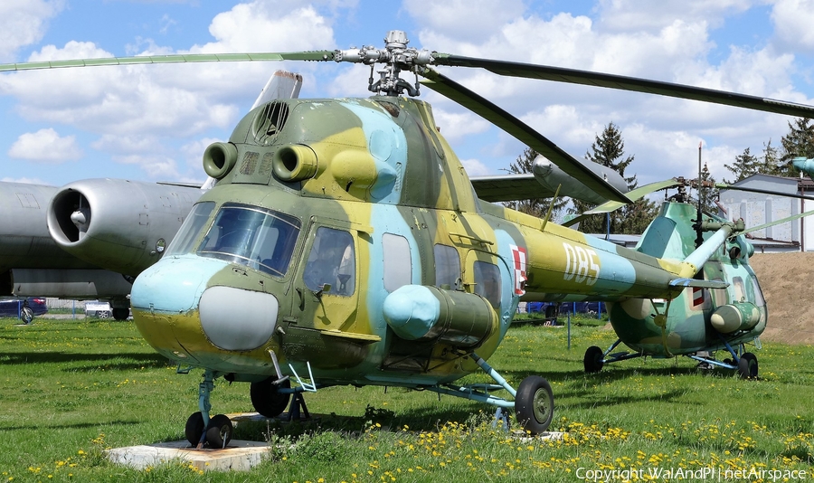 Polish Air Force (Siły Powietrzne) PZL-Swidnik (Mil) Mi-2T Hoplite (085) | Photo 446258