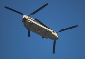 United States Army Boeing CH-47F Chinook (09-08070) at  Jacksonville - NAS, United States