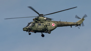 Polish Army (Siły Zbrojne Rzeczypospolitej Polskiej) PZL-Swidnik W-3WA Sokol (0910) at  Radom, Poland