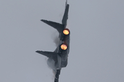 Slovak Air Force Mikoyan-Gurevich MiG-29AS Fulcrum (0921) at  Ostrava - Leos Janacek, Czech Republic