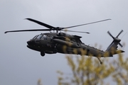 United States Air Force Sikorsky UH-60M Black Hawk (10-20276) at  Cologne/Bonn, Germany