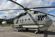 Polish Navy (Marynarka Wojenna) Mil Mi-14PL Haze-A (1001) at  Gdynia - Oksywie, Poland