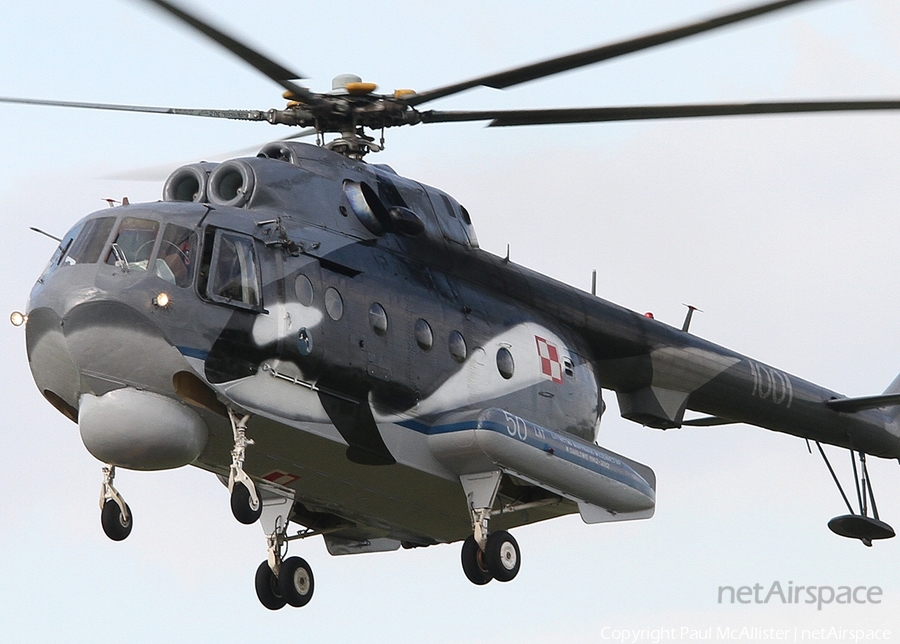 Polish Navy (Marynarka Wojenna) Mil Mi-14PL Haze-A (1001) | Photo 18800