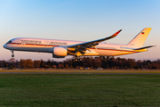 German Air Force Airbus A350-941ACJ (1002) at  Hamburg - Fuhlsbuettel (Helmut Schmidt), Germany