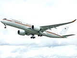 German Air Force (Luftwaffe) Airbus A350-941ACJ (1002) at  Hamburg - Fuhlsbuettel (Helmut Schmidt), Germany