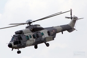 Mexican Air Force (Fuerza Aerea Mexicana) Eurocopter H-36 Caracal (1008) at  Mexico City - Santa Lucia, Mexico