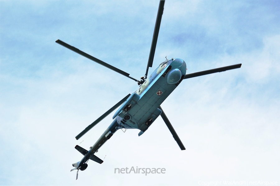 Polish Navy (Marynarka Wojenna) Mil Mi-14PL Haze-A (1008) | Photo 442591