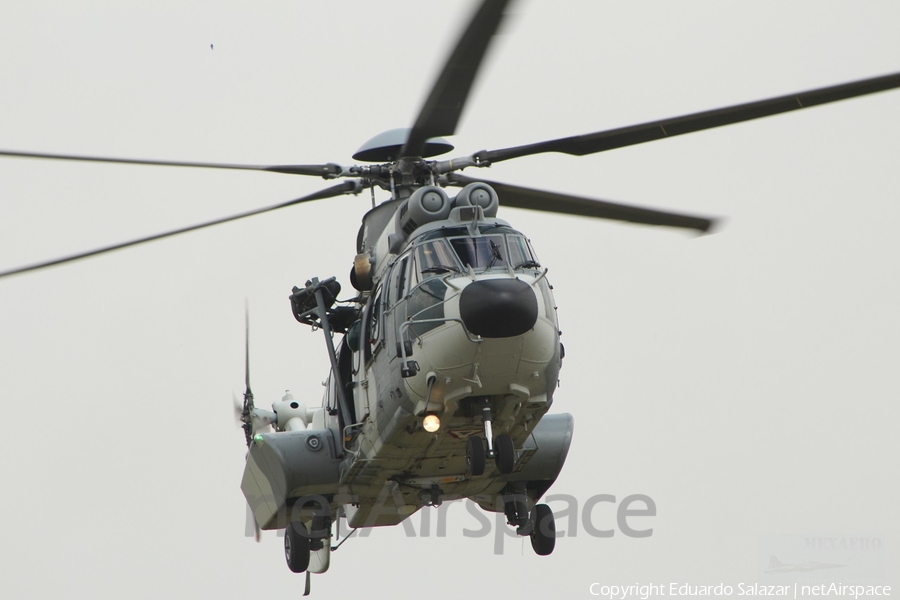 Mexican Air Force (Fuerza Aerea Mexicana) Eurocopter H-36 Caracal (1010) | Photo 92954