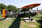 Turkish Army (Türk Kara Kuvvetleri) Bellanca 7GCBC Citabria (10104) at  Istanbul - Ataturk, Turkey