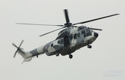 Mexican Air Force (Fuerza Aerea Mexicana) Eurocopter H-36 Caracal (1011) at  Mexico City - Santa Lucia, Mexico