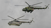 Polish Navy (Marynarka Wojenna) Mil Mi-14PL Haze-A (1011) at  Radom, Poland
