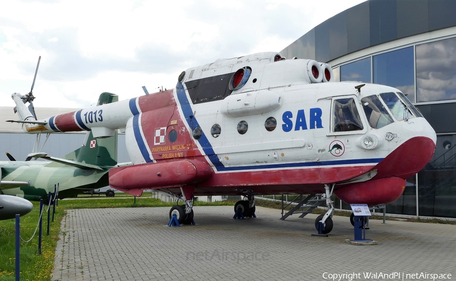 Polish Navy (Marynarka Wojenna) Mil Mi-14PS Haze-C (1013) | Photo 446316