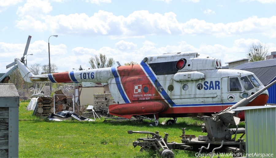 Polish Navy (Marynarka Wojenna) Mil Mi-14PS Haze-C (1016) | Photo 446315