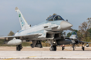 Royal Saudi Air Force Eurofighter Typhoon F2 (1018) at  Andravida AFB, Greece