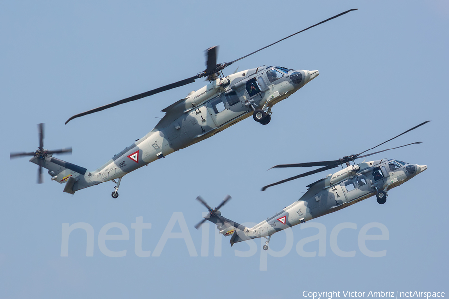 Mexican Air Force (Fuerza Aerea Mexicana) Sikorsky UH-60M Black Hawk (1062) | Photo 120810