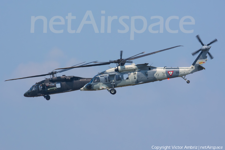 Mexican Air Force (Fuerza Aerea Mexicana) Sikorsky UH-60M Black Hawk (1064) | Photo 120811