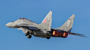 Polish Air Force (Siły Powietrzne) Mikoyan-Gurevich MiG-29A Fulcrum (108) at  Malbork, Poland