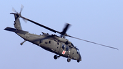 United States Army Sikorsky HH-60M Black Hawk (11-20379) at  Bremerhaven, Germany