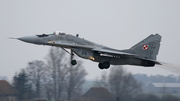 Polish Air Force (Siły Powietrzne) Mikoyan-Gurevich MiG-29A Fulcrum (114) at  Malbork, Poland