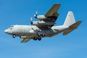 United Arab Emirates Air Force Lockheed C-130H Hercules (1213) at  Barcelona - El Prat, Spain