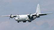 United Arab Emirates Air Force Lockheed C-130H Hercules (1213) at  Hamburg - Fuhlsbuettel (Helmut Schmidt), Germany