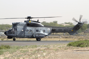 United Arab Emirates Air Force Aerospatiale AS332B1 Super Puma (124) at  Sharjah - International, United Arab Emirates