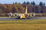 Egyptian Air Force Lockheed C-130H Hercules (1286) at  Frankfurt - Hahn, Germany