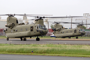 United States Army Boeing CH-47F Chinook (13-08137) at  San Juan - Fernando Luis Ribas Dominicci (Isla Grande), Puerto Rico