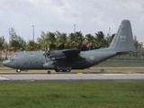 Canadian Armed Forces Lockheed CC-130H Hercules (130334) at  San Juan - Luis Munoz Marin International, Puerto Rico